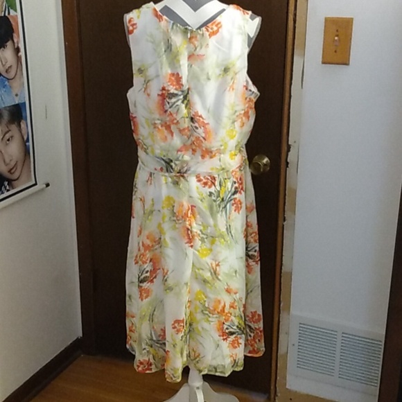 COPY - Beautiful Plus Size Floral Sleeveless Dress. Runs small—more like a 1X o… - Picture 3 of 7